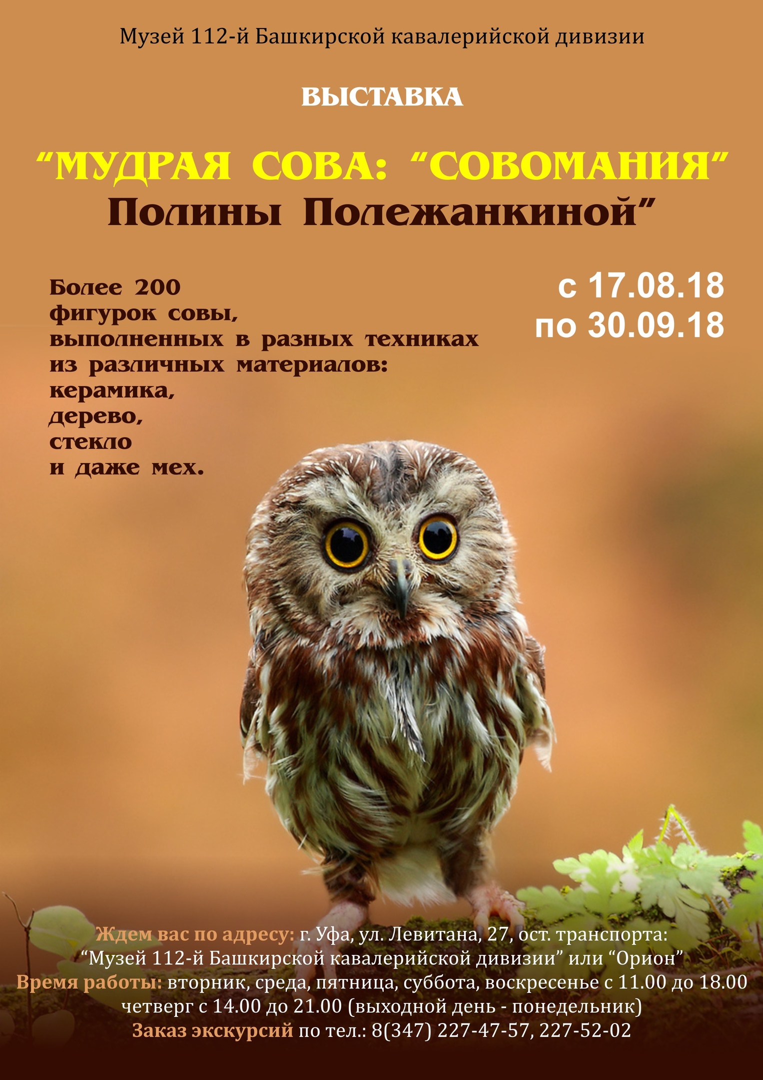 Коллекция сов в Музее 112-й Башкирской кавалерийской дивизии - Атлас птиц  Уфы