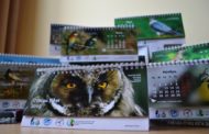Календари с птицами Уфы от фотохудожников и участников проекта