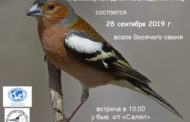 26-я обучающая орнитологическая экскурсия в Уфе