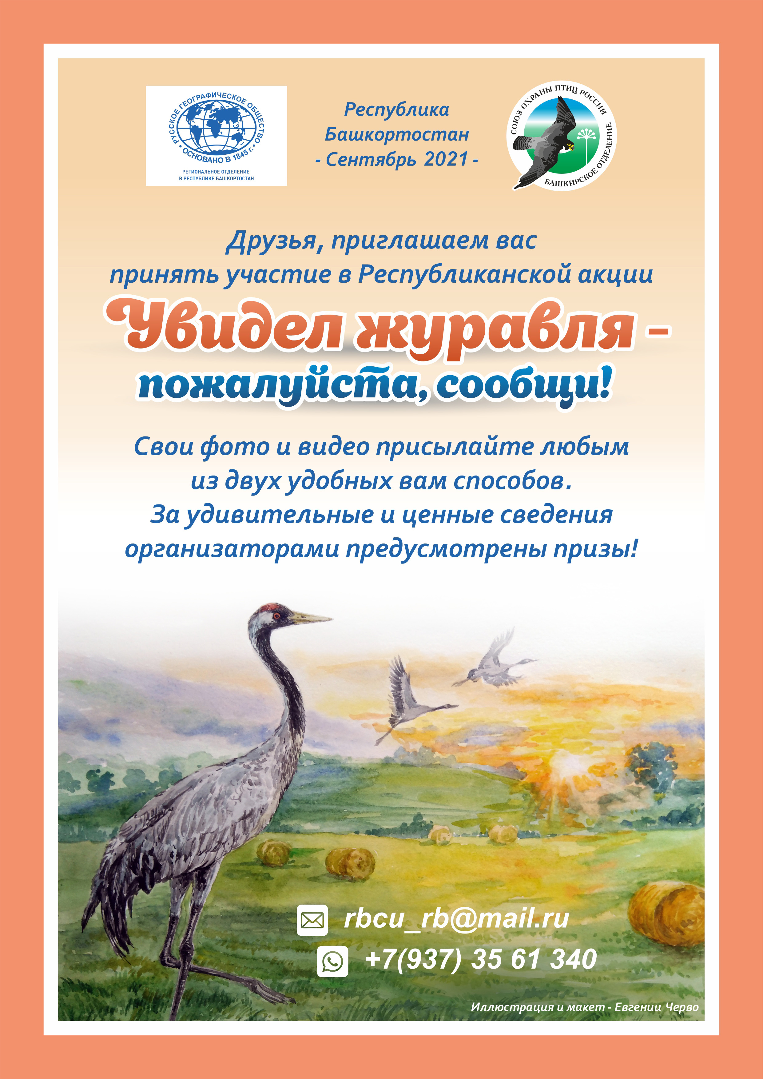 Акция «Увидел журавля – пожалуйста, сообщи!» в Башкирии - Атлас птиц Уфы