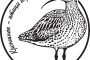 Мини-выставка в Уфе, посвящённая птице года 2023 – кроншнепу