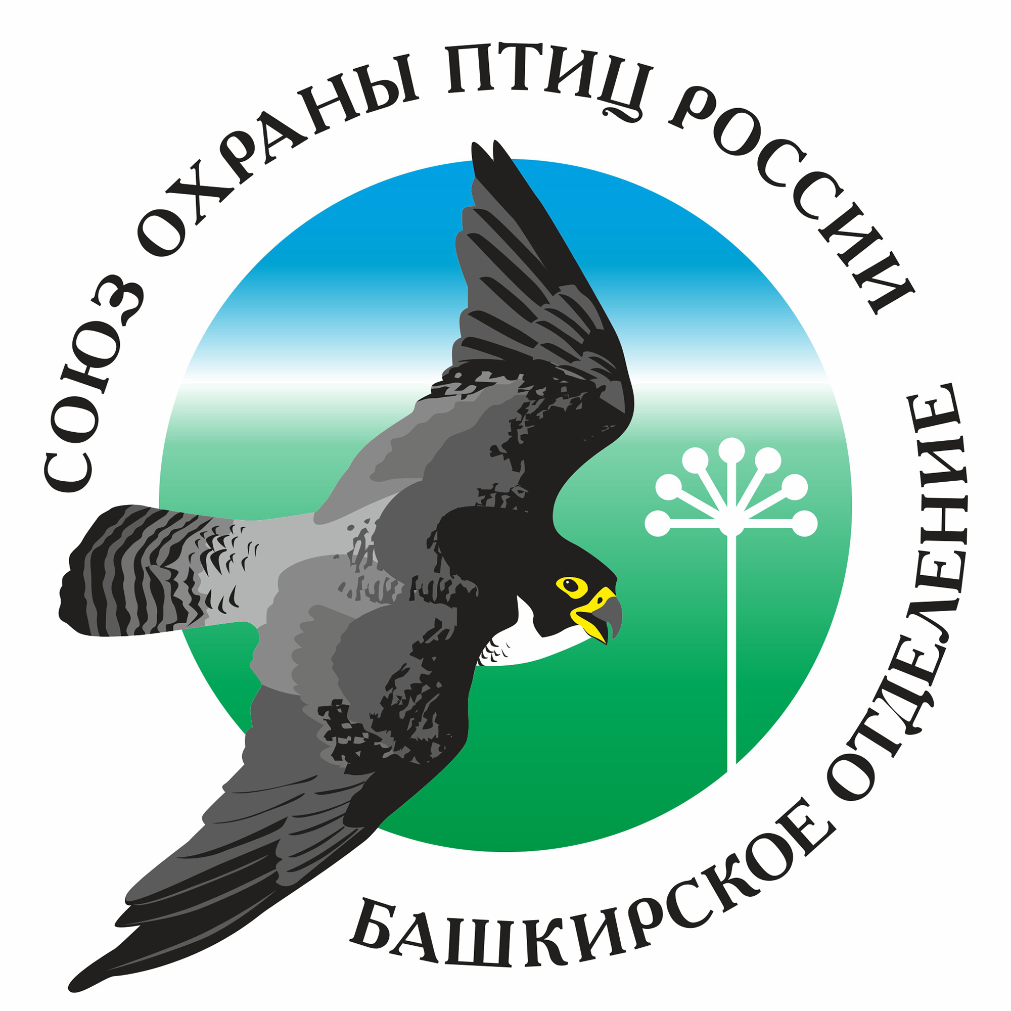 БО СОПР