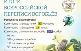 Итоги летнего сезона Всероссийской переписи воробьёв «Воробьи на кустах» по Республике Башкортостан