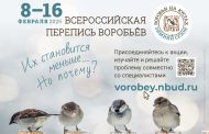 Акция «Воробьи на кустах-2025» в Республике Башкортостан – зимний сезон