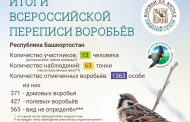 Итоги зимнего учёта воробьёв-2025 в Республике Башкортостан