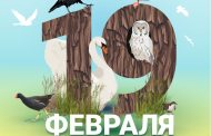 19 февраля - День орнитолога