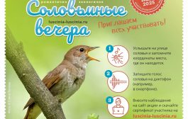 Приглашаем на «Соловьиные вечера-2025» 17-18 мая 2025 г.