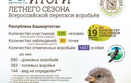 Итоги летней переписи воробьёв-2025 в Республике Башкортостан