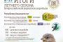 Акция «Увидел журавля – пожалуйста, сообщи!» в Башкирии - 2025