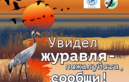 Акция «Увидел журавля – пожалуйста, сообщи!» в Башкирии - 2025