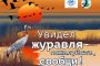 Итоги летней переписи воробьёв-2025 в Республике Башкортостан