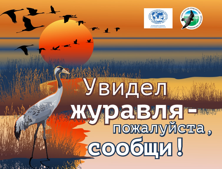 Акция «Увидел журавля – пожалуйста, сообщи!» в Башкирии - 2025