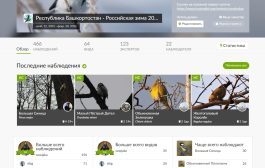 Конкурс «Российская зима 2025-2026» - итоги ноября 2025