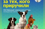 VIII Районный творческий конкурс «Мы в ответе за тех, кого приручили» - анонс