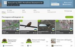 Итоги конкурса «Большой год-2025» в Республике Башкортостан