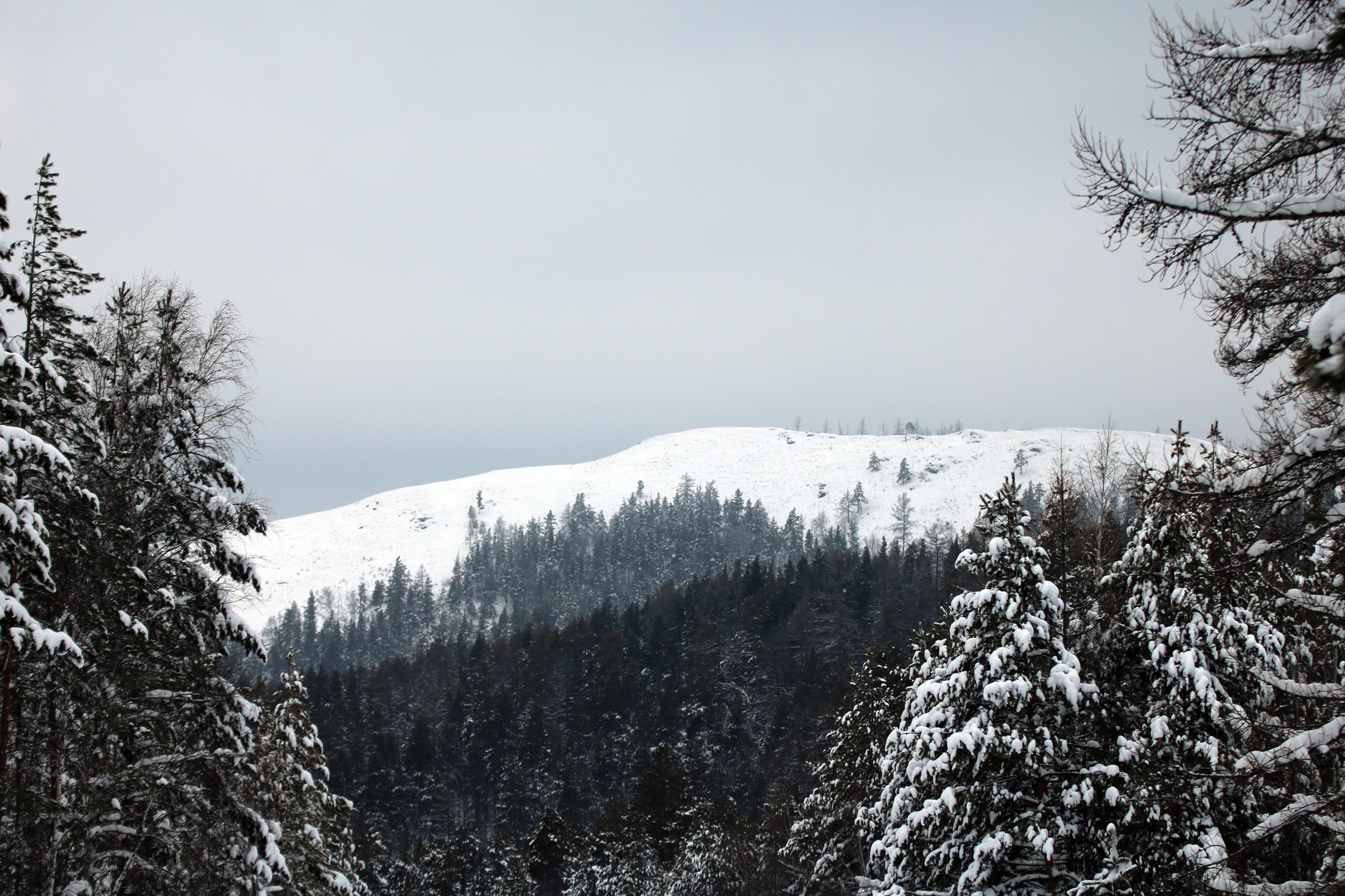 18.фото ГГА