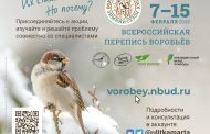 Всероссийская перепись воробьёв «Воробьи на кустах» - зимний сезон 2026 (анонс)