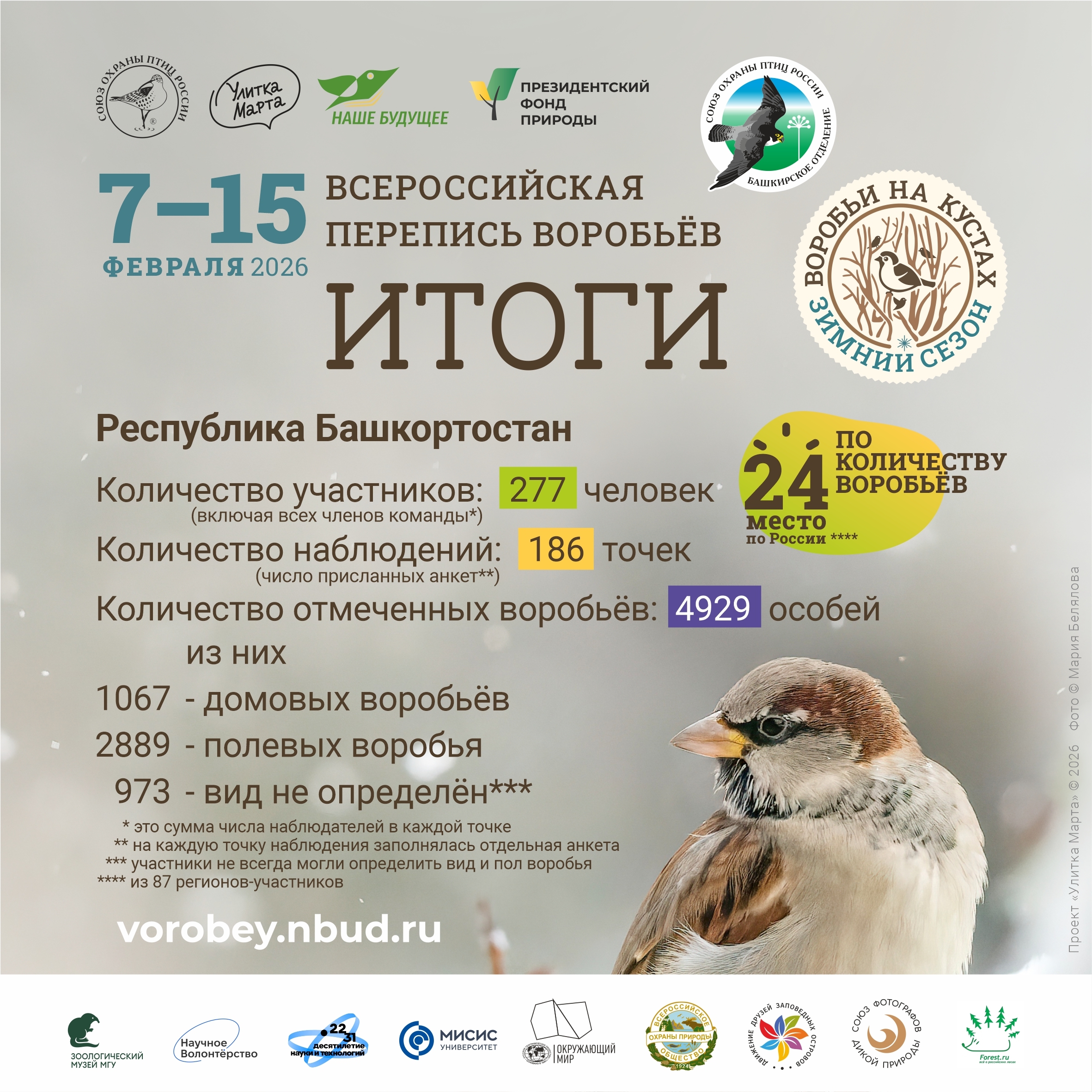 Всероссийская перепись воробьёв - 2026 (зимний сезон). Итоги по Республике Башкортостан