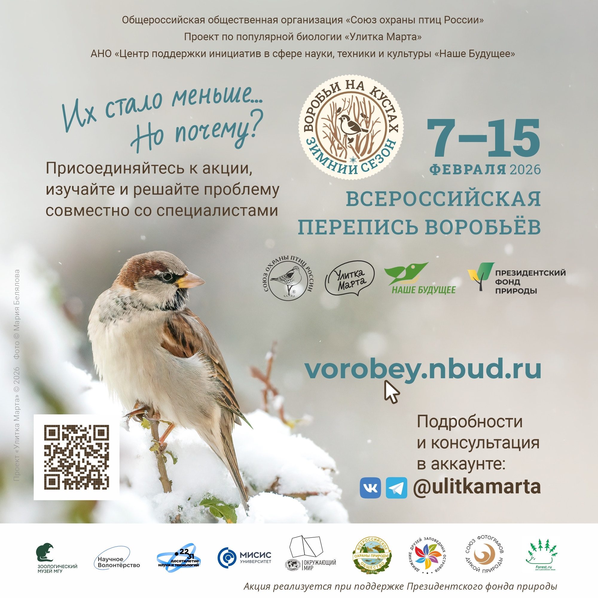 Всероссийская перепись воробьёв «Воробьи на кустах» - зимний сезон 2026 (анонс)