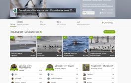 Конкурс «Республика Башкортостан - Российская зима 2025-2026» - итоги