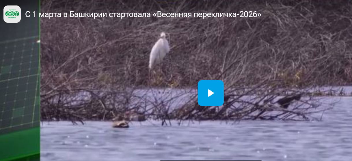 С 1 марта в Башкортостане стартовала «Весенняя перекличка-2026» - сюжет на телеканале «Вся Уфа»