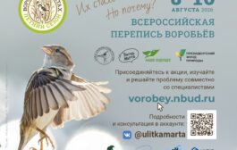 Летняя перепись воробьёв 2026 г. в Республике Башкортостан