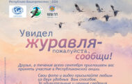 Акция «Увидел журавля – пожалуйста, сообщи!» в Башкирии - 2026