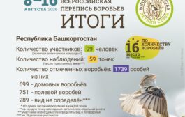 Всероссийская перепись воробьёв - 2026 (летний сезон). Итоги по Республике Башкортостан