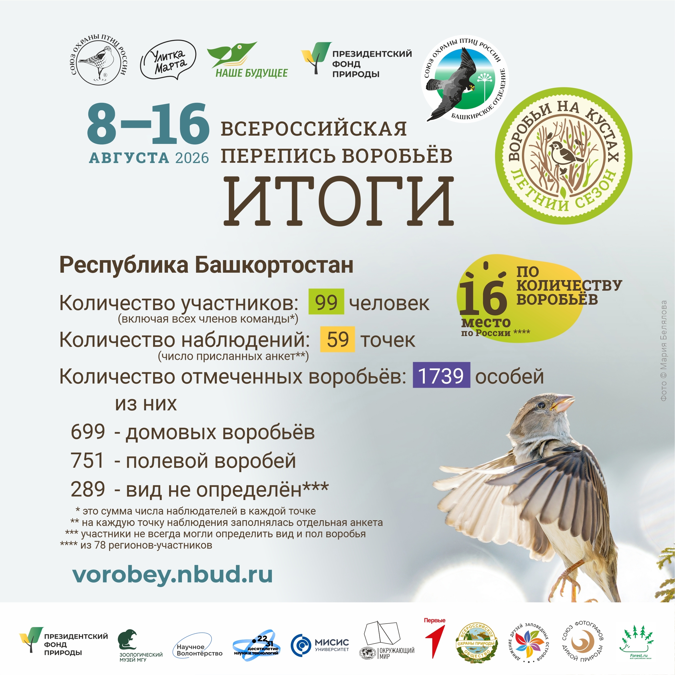 Всероссийская перепись воробьёв - 2026 (летний сезон). Итоги по Республике Башкортостан