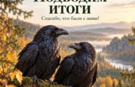 «КАР-КАРы»: полгода наблюдений, открытий и встреч!